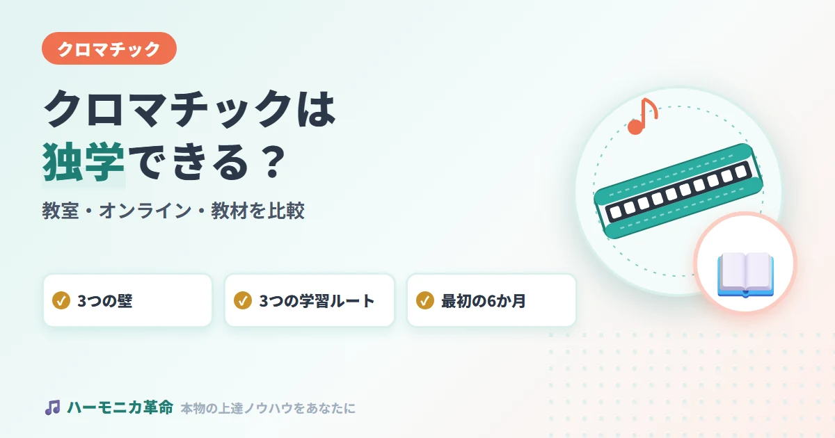 クロマチックハーモニカは独学できる？教室・オンライン・教材を比較
