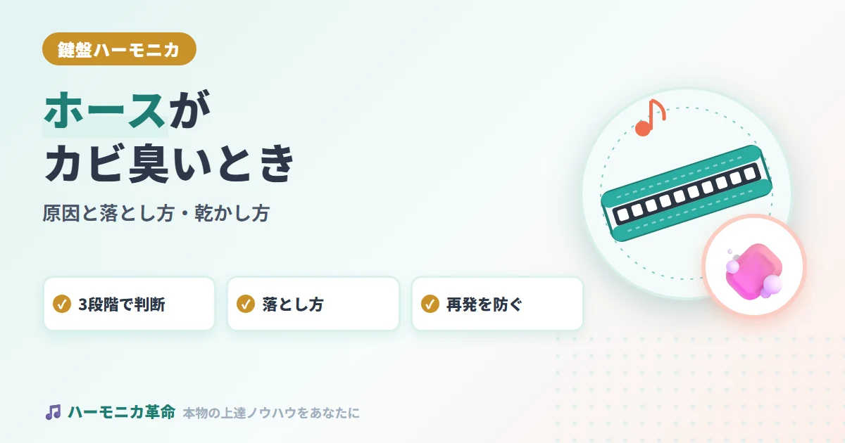 鍵盤ハーモニカのホースがカビ臭い！原因と落とし方・乾かし方